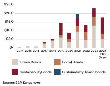 Column chart showing sustainable debt issuance by year