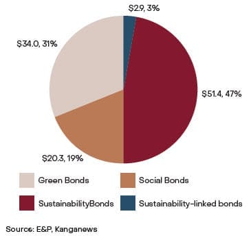 Pie chart showing sustainable debt issuance by type